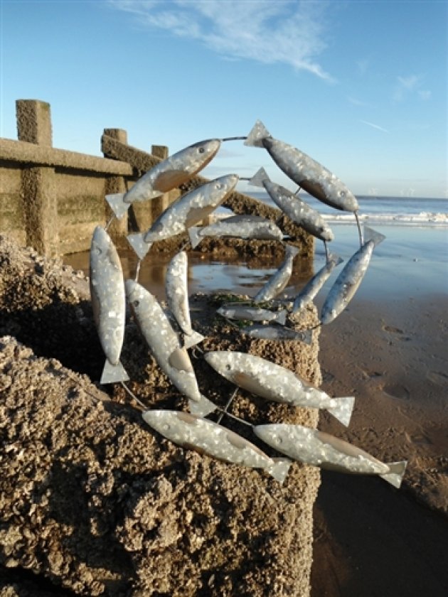 Swirl of Mackeral Wall Art